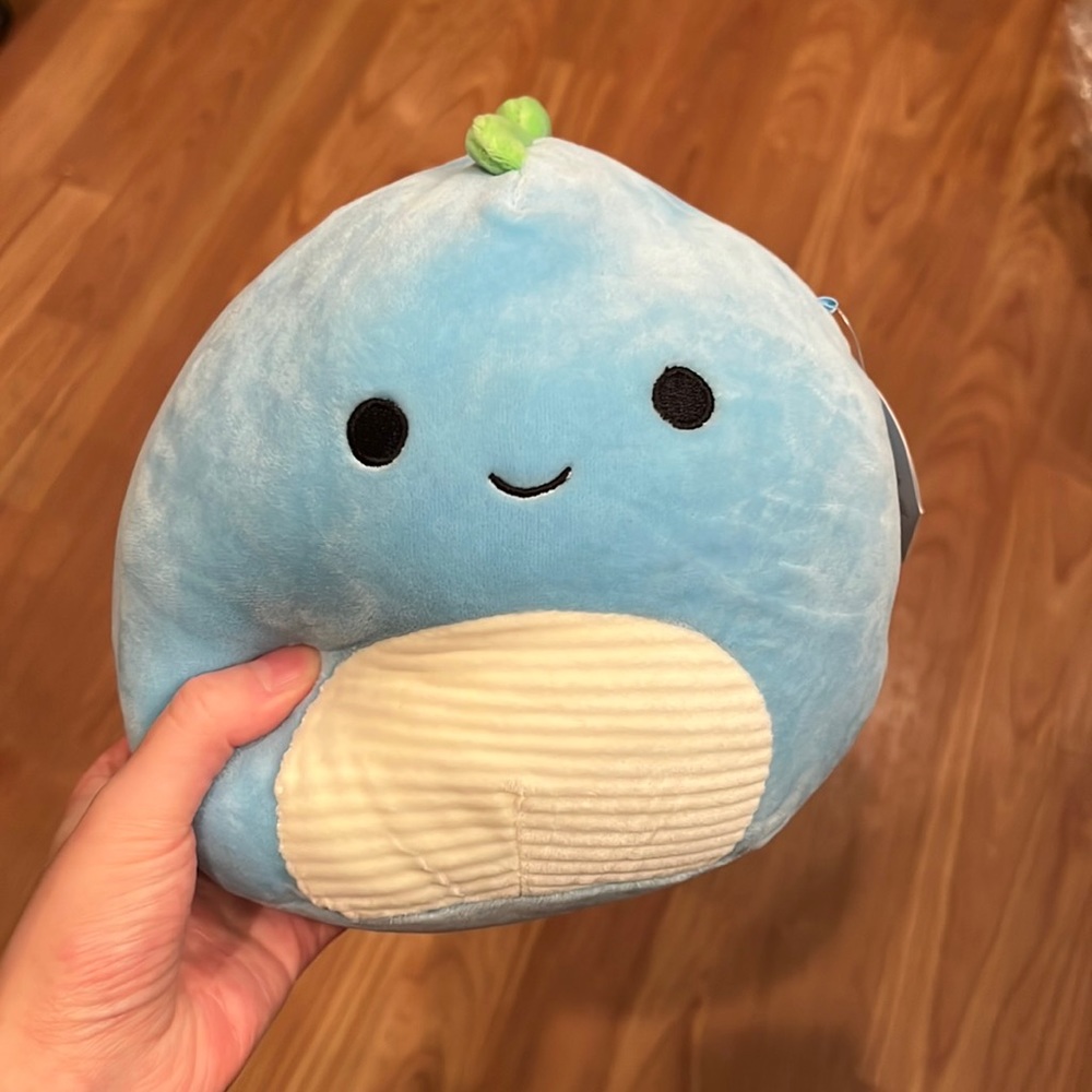 Rashad 8” Squishmallow